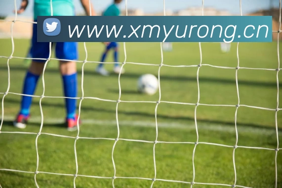 kaiyun官方网站入口APP 高清赛事图